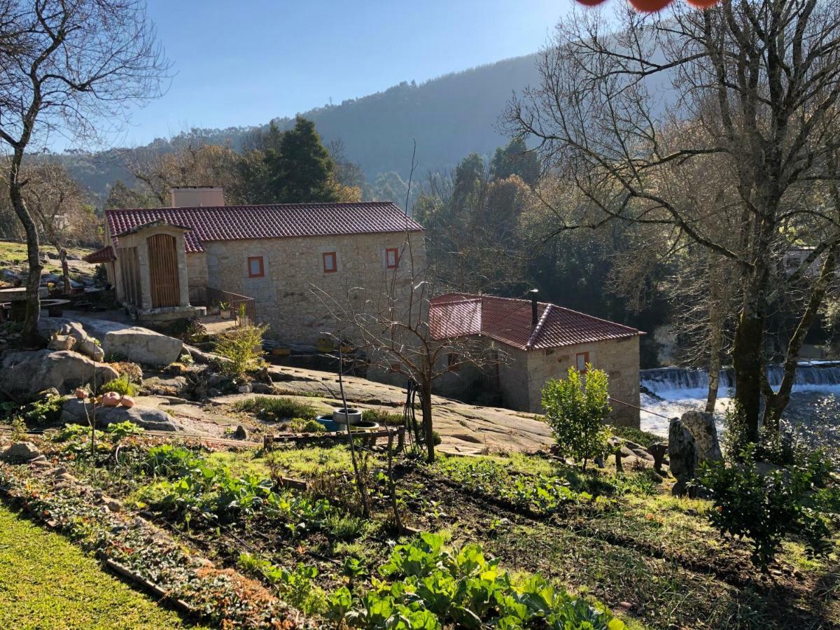 Azenha Do Tio Luis Lägenhet Caminha Exteriör bild